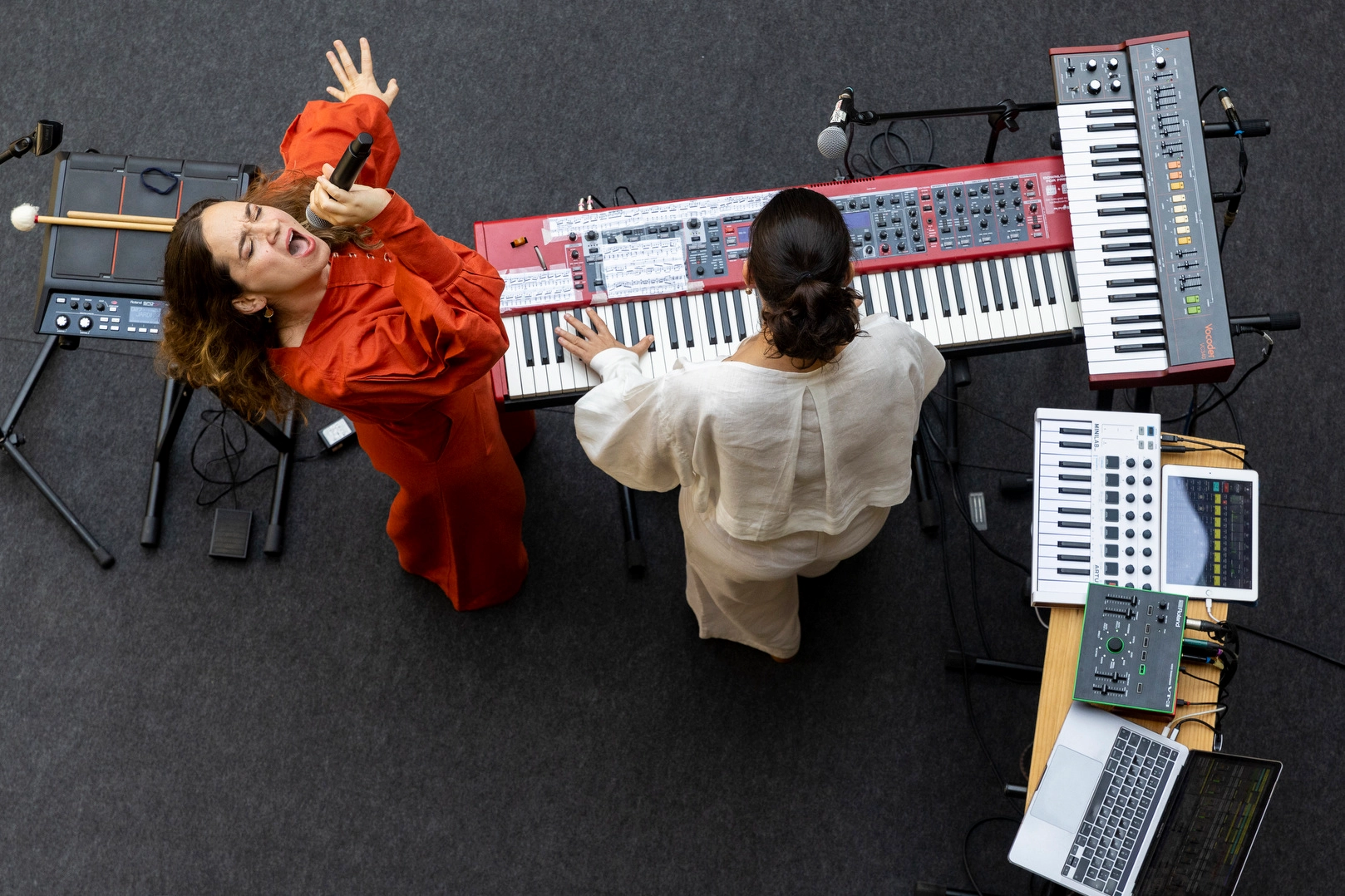 La salamandra i flors